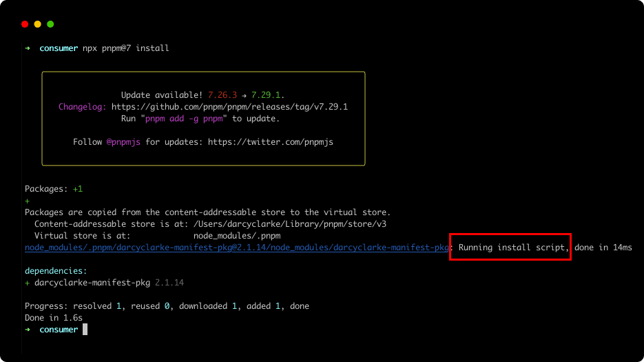 pnpm-terminal-executing-scripts